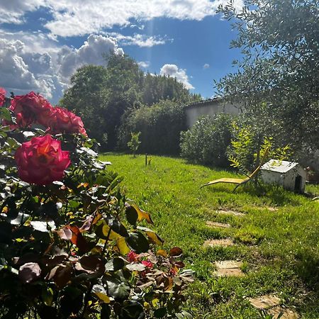 ניונס Gite De L'Olivier מראה חיצוני תמונה